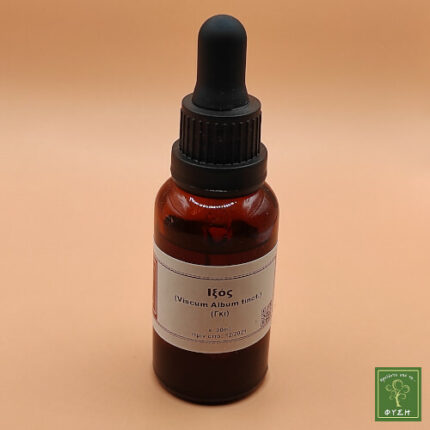 Βάμμα - Ίξος