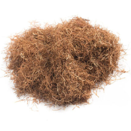 Καλαμπόκι (Μουστάκια)