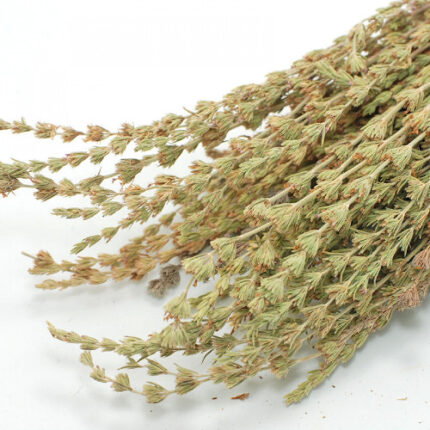 Κυπαρισσάκι