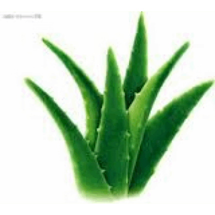 Αλόη Βέρα Σαπούνι