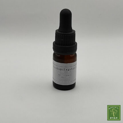 Εκχύλισμα Αγγουριού